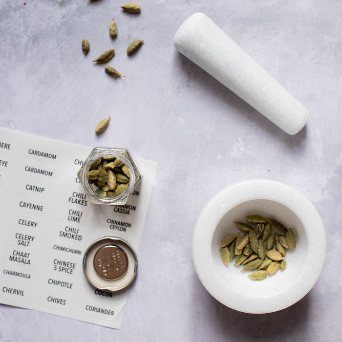 Gneiss Spice Indian Spice Kit — 7 Organic Starter Seasonings