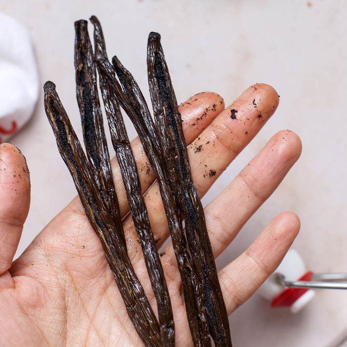 Gneiss Spice Organic & Fair Trade - Homemade Vanilla Extract Kit In Swing Top Bottle