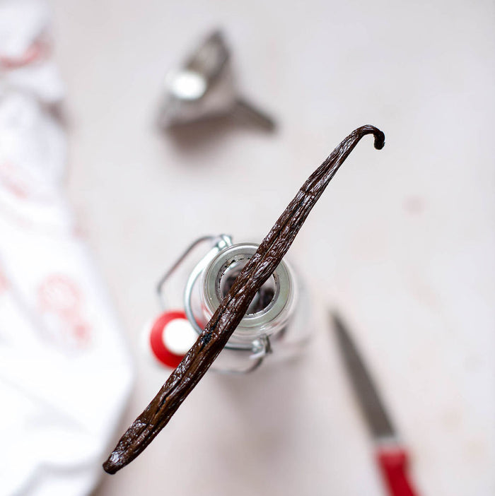 Gneiss Spice Organic & Fair Trade - Homemade Vanilla Extract Kit In Swing Top Bottle
