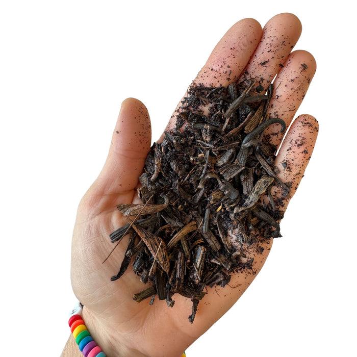 Gneiss Spice Vanilla Paste Bundle Kit — Create Homemade Gourmet Gifts