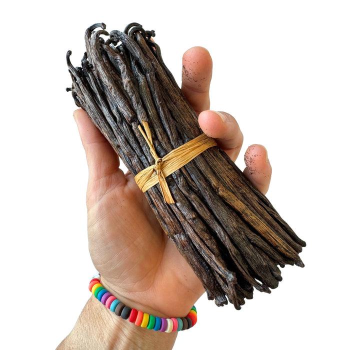Gneiss Spice Vanilla Pod Splits Origin Madagascar — Concentrated Flavor For Making Gourmet Extract And Paste