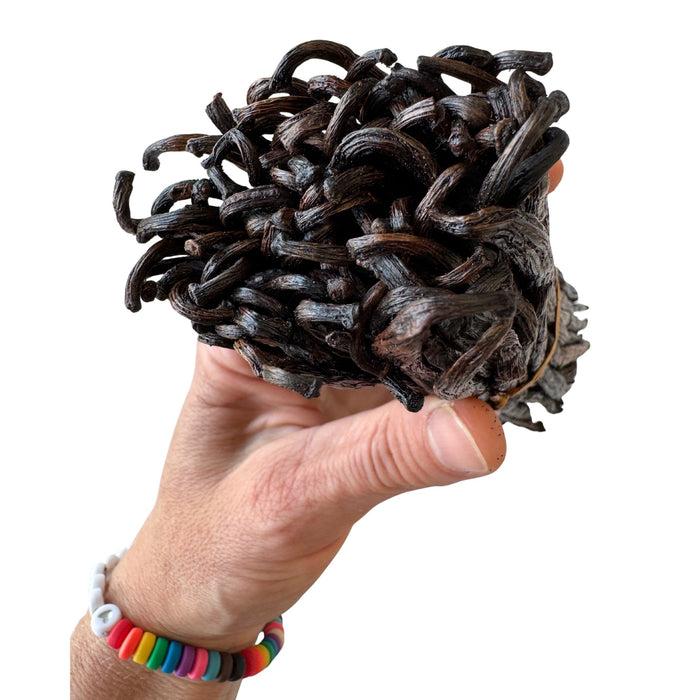 Gneiss Spice Vanilla Pod Splits Origin Madagascar — Concentrated Flavor For Making Gourmet Extract And Paste