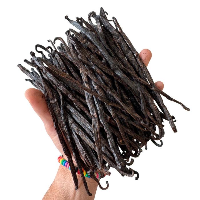 gneiss spice Vanilla Pod Splits Origin Madagascar — Concentrated Flavor for Making Gourmet Extract and Paste