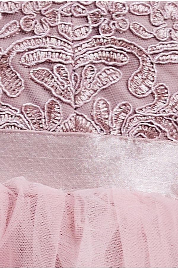 Goddiva High Low Tulle Mini With Lace Bodice - Blush By Goddiva