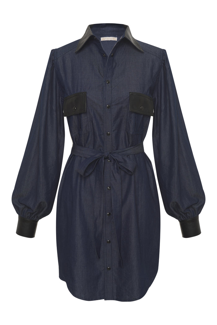 Gold Hawk Lizzy Denim Tencel Shirt Dress