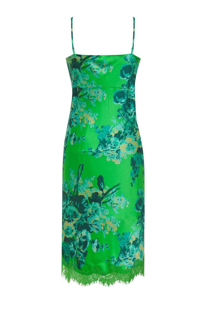 Gold Hawk Napa Chloe Printed Dress Apple Green
