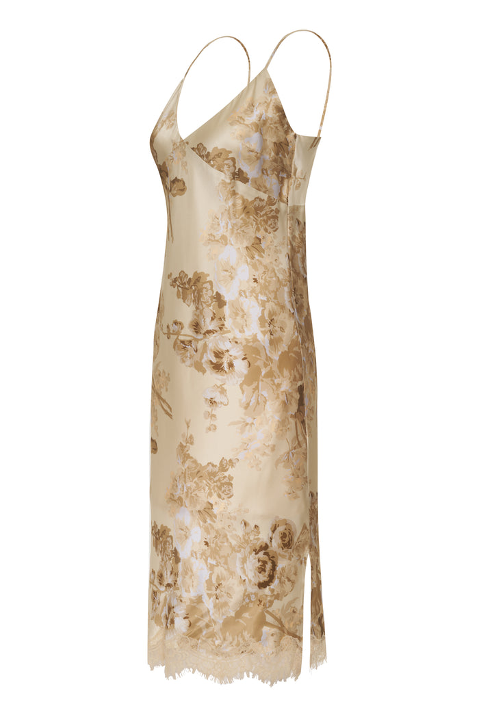 Gold Hawk Napa Chloe Printed Dress Raffia