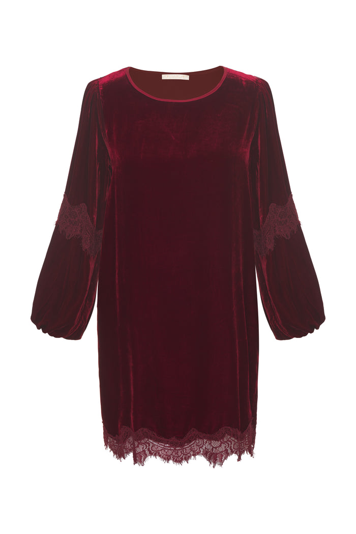 Gold Hawk Now 80% OFF -Velvet A-Line Dress