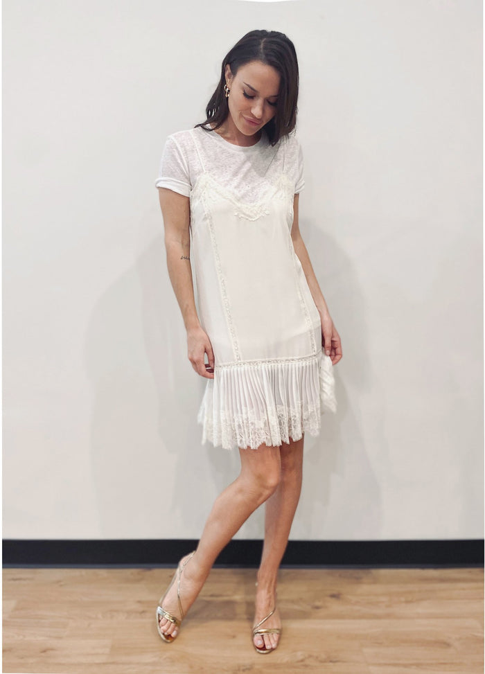 Gold Hawk Pleated Lace Silk Dress Dove