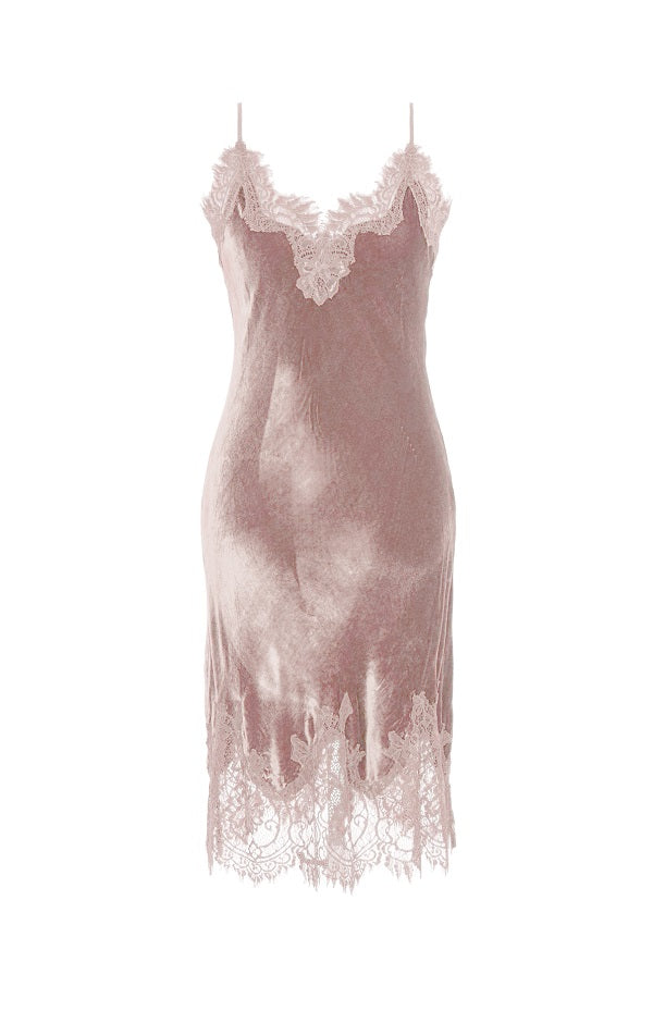 Gold Hawk Velvet Coco Lace Dress - Nude Crystal