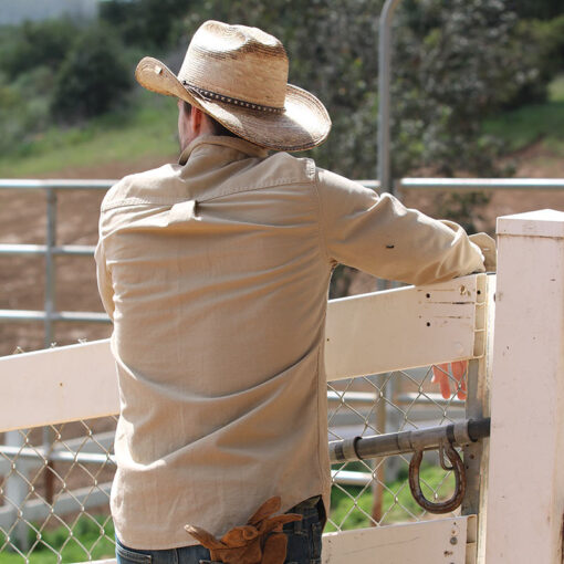 goldcoast sunwear new gc styles Westerns Jason