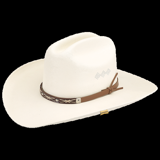 goldcoast sunwear new gc styles Westerns Wayne