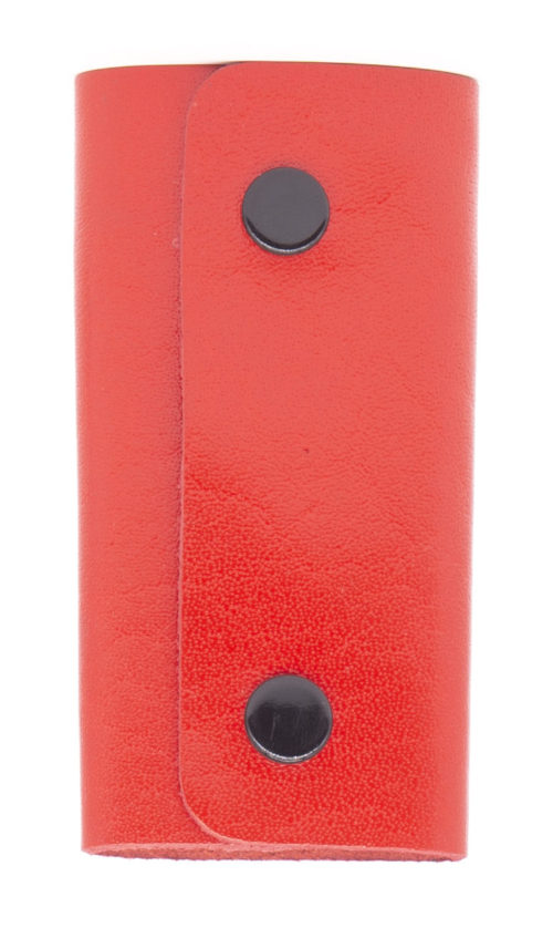 golunski 6 Hook Key case