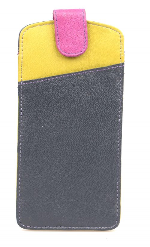 golunski Glasses Case