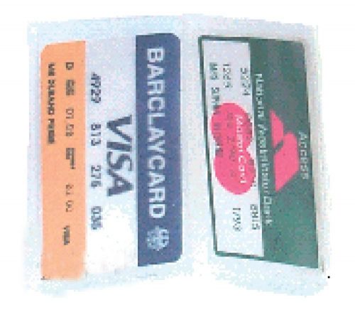 golunski Portrait Credit Card Inserts