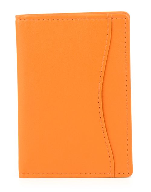 golunski Travel Pass holder