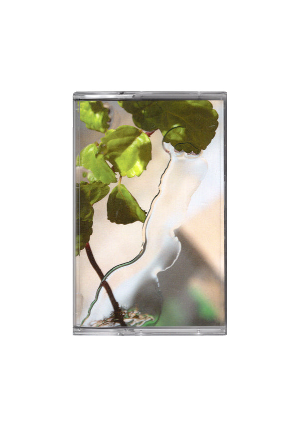 good morning tapes GMT43 NUEEN - NOVA LLUM