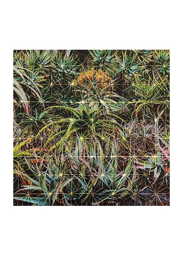 good morning tapes GMV23 X OR SIZE - ALL AVAIL