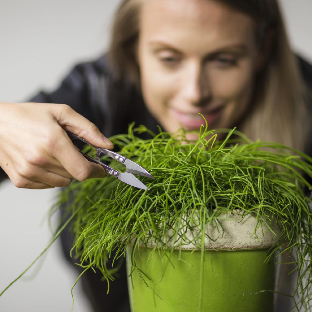 Good Thing Esshert Mini Pruners