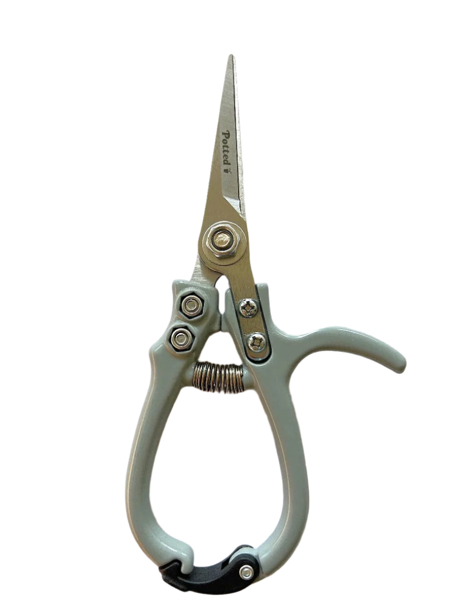 Good Thing Potted Indoor Plant Snips - Eucalypt