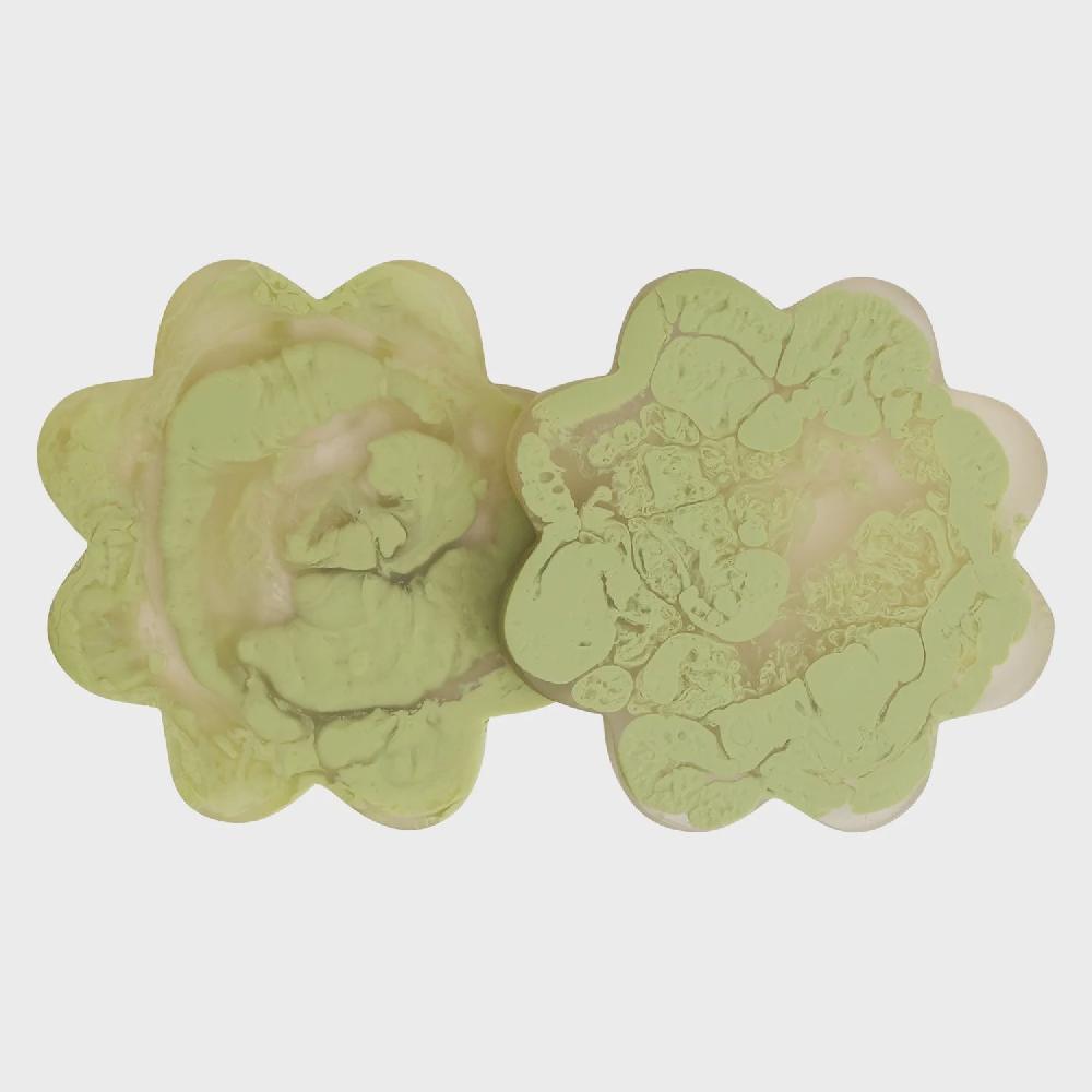Good Thing Sage And Clare Cecilia Coasters - Pistachio Set Of 2
