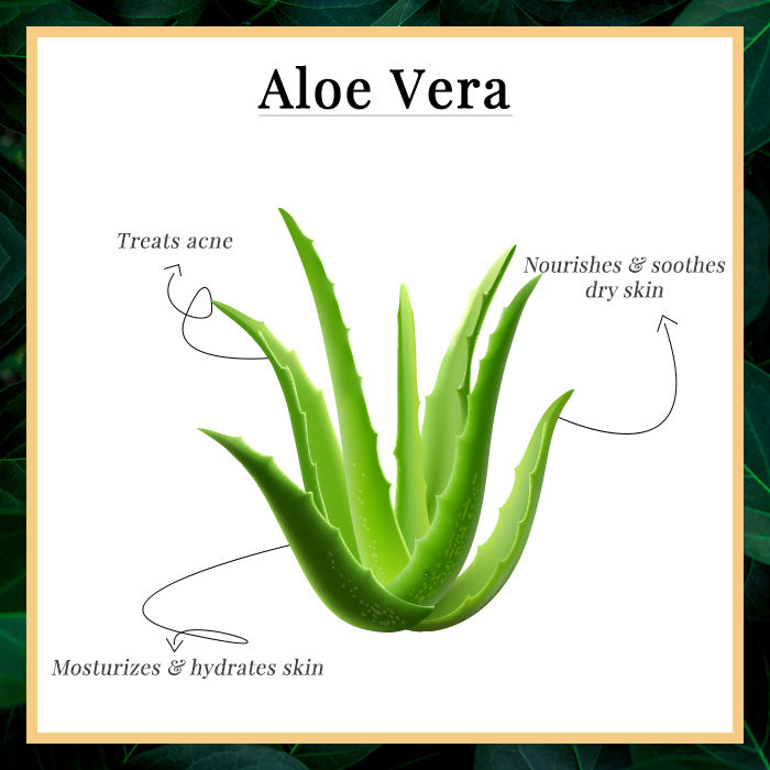 Good Vibes Aloe Vera Gel (100 G)