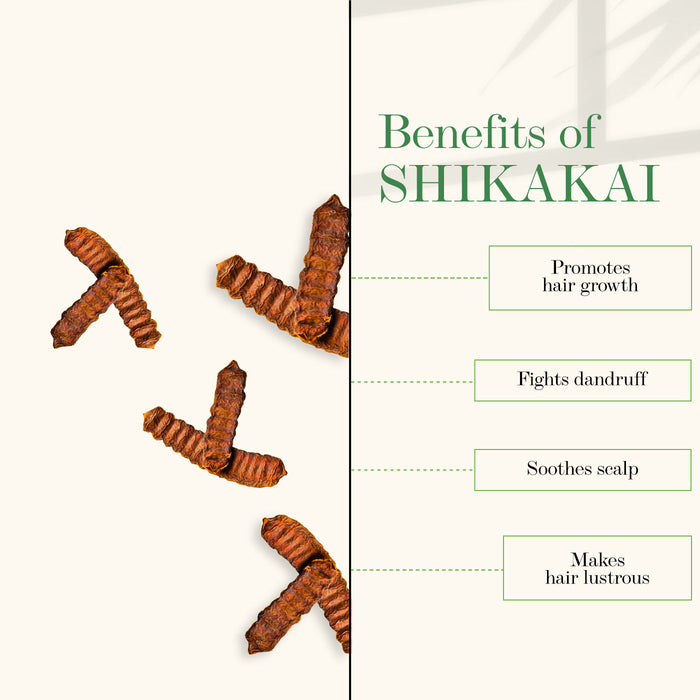 Good Vibes Amla & Shikakai Strengthening Conditioner