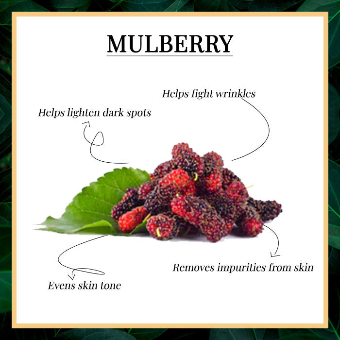 Good Vibes Lightening Face Wash - Mulberry (120 Ml)