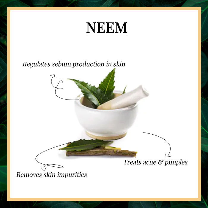 Good Vibes Purifying Face Wash - Neem (120 Ml)