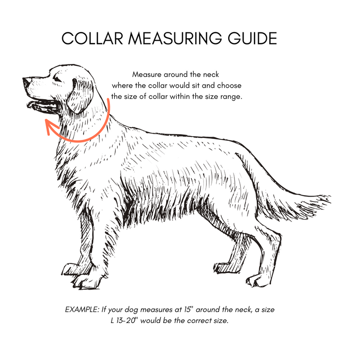 Goodboy Gb-c Waterproof Quick Release Collar - Chili Red