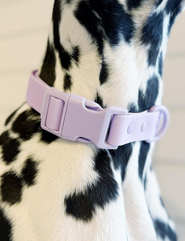 goodboy Gb-c Waterproof Quick Release Collar - Pastel Purple