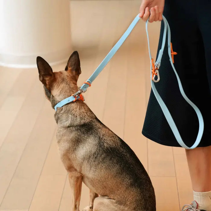Goodboy Approved By Fritz - Baby Blue/Orange Collar