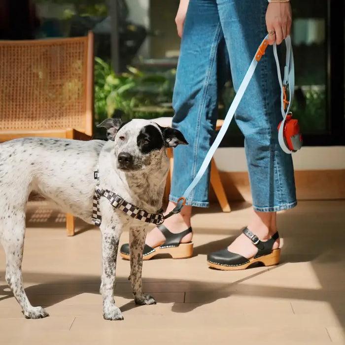 Goodboy Approved By Fritz - Baby Blue/Orange Leash