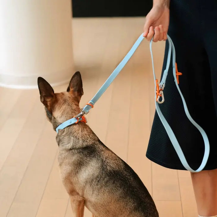 Goodboy Approved By Fritz - Baby Blue/Orange Leash
