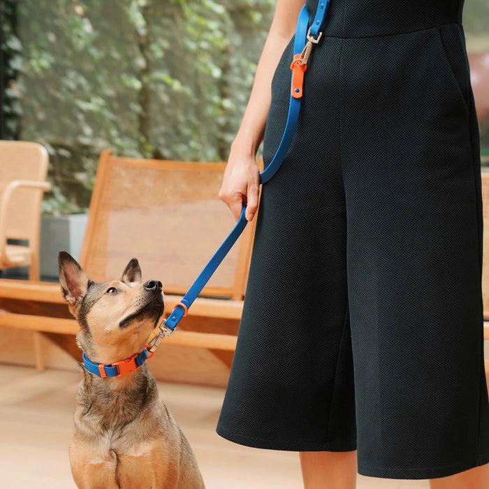 Goodboy Approved By Fritz - Blue/Red Leash