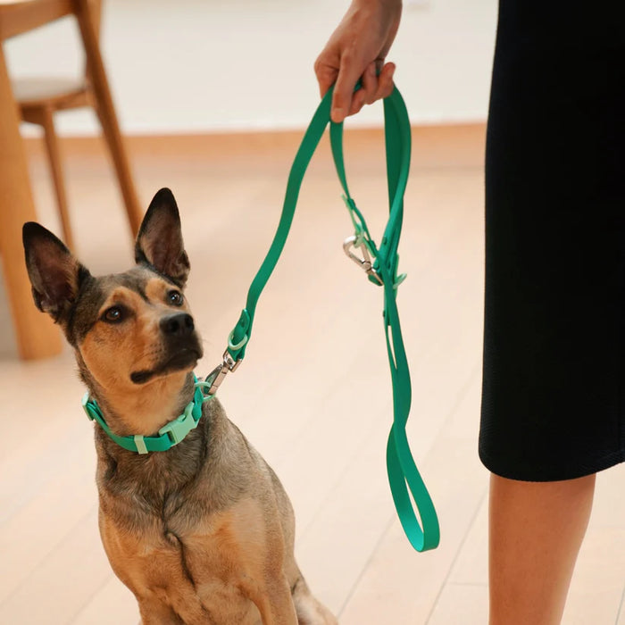Goodboy Approved By Fritz - Green Collar