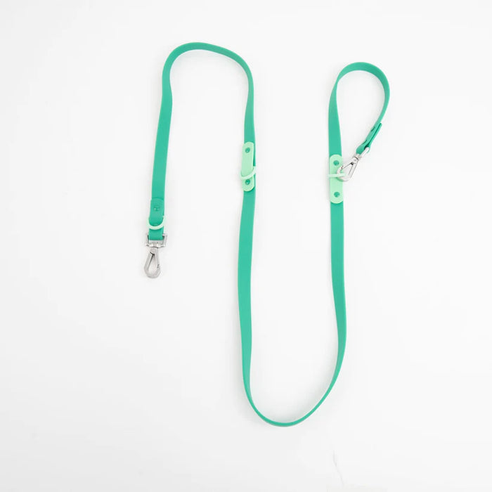 goodboy Approved by Fritz - Green Leash