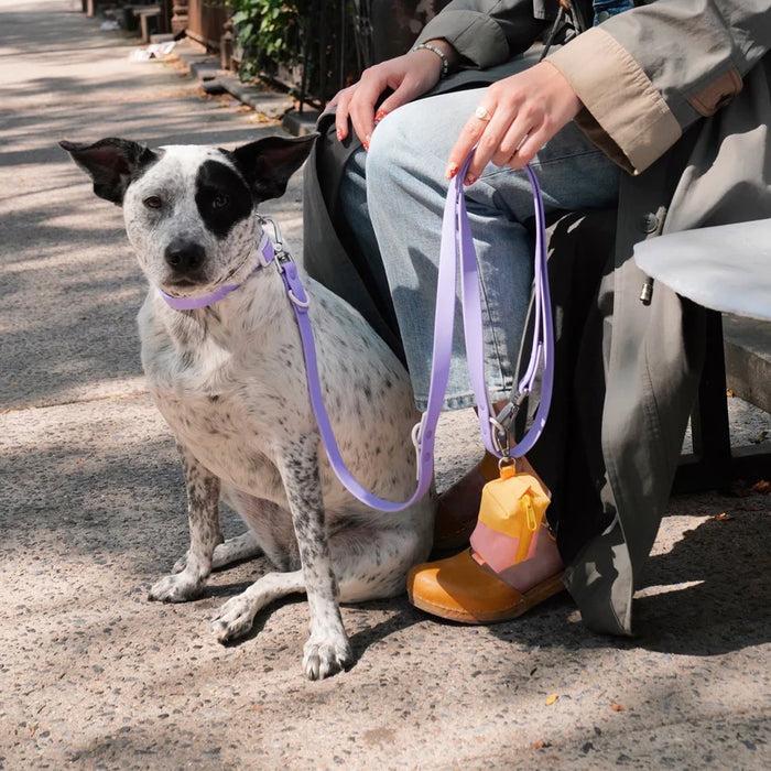 Goodboy Approved By Fritz - Lilac/Grey Leash