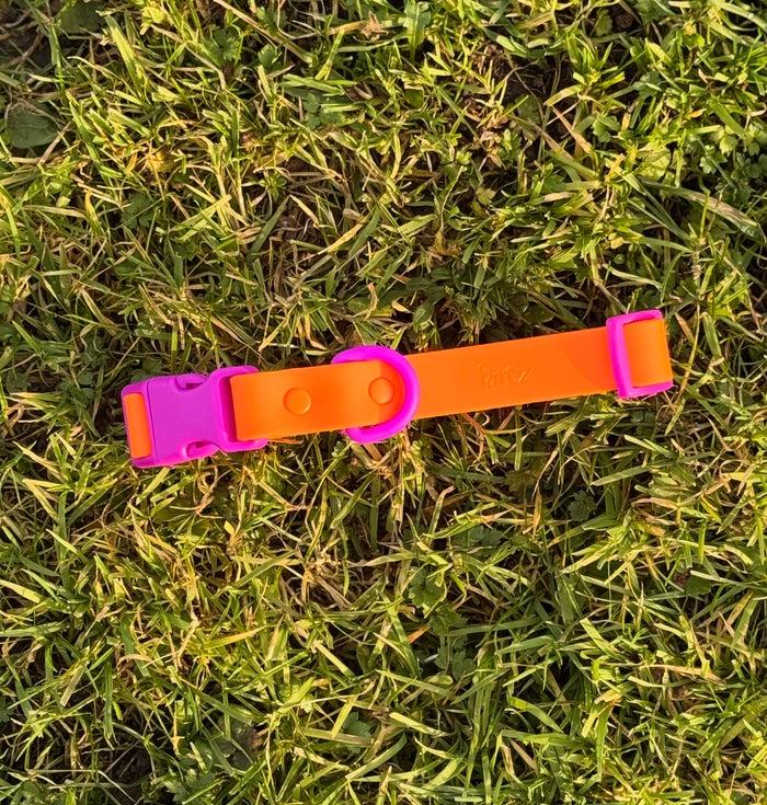 Goodboy Approved By Fritz - Orange/Magenta Collar