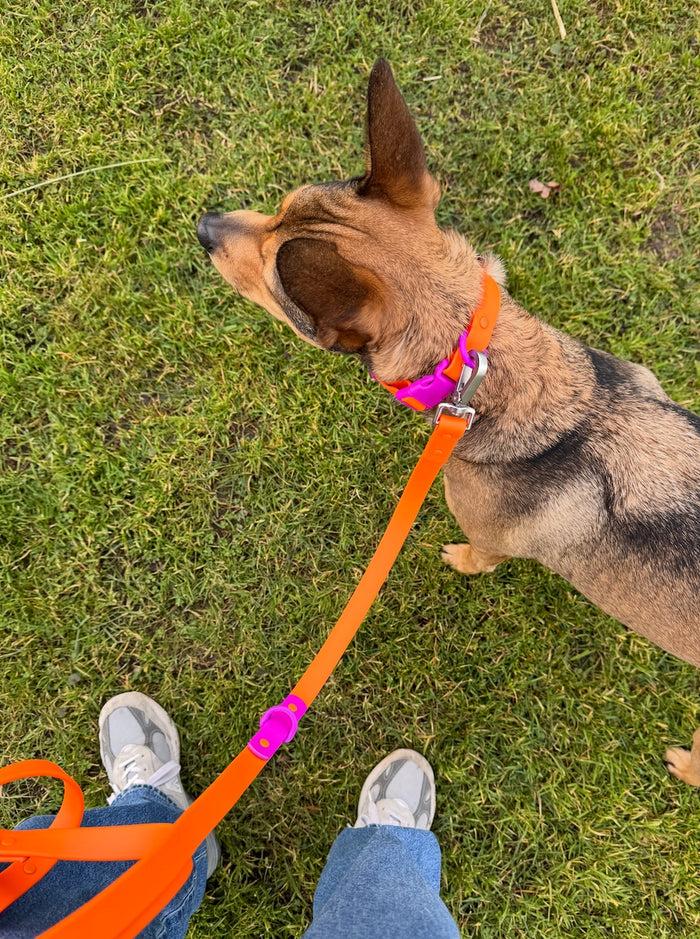 Goodboy Approved By Fritz - Orange/Magenta Leash