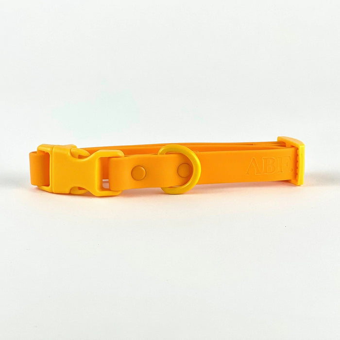 goodboy Approved by Fritz - Orange/Yellow Collar