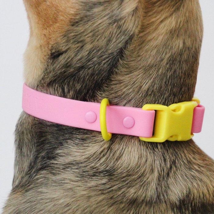 Goodboy Approved By Fritz - Pink/Yellow Collar