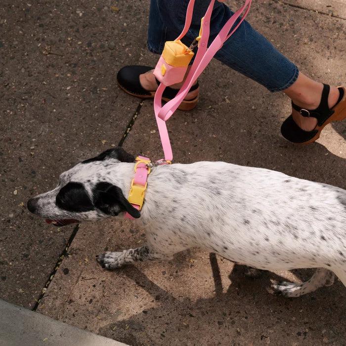 Goodboy Approved By Fritz - Pink/Yellow Collar