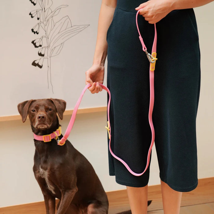 Goodboy Approved By Fritz - Pink/Yellow Leash
