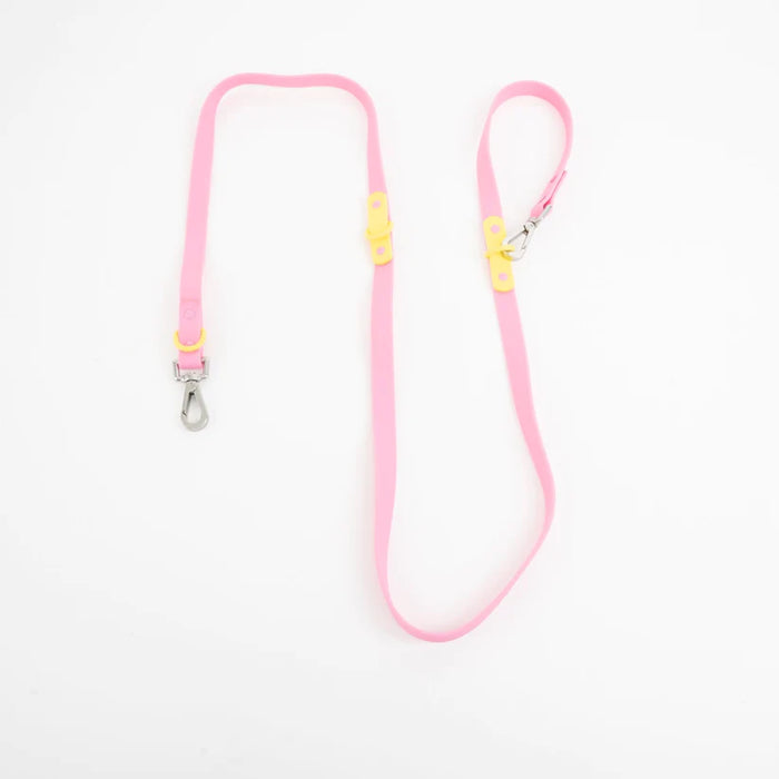 goodboy Approved by Fritz - Pink/Yellow Leash