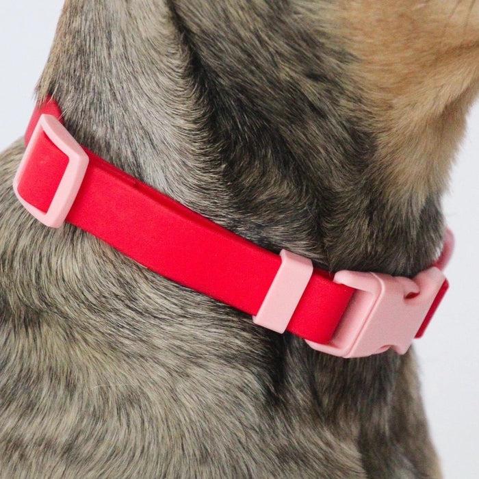 Goodboy Approved By Fritz - Red/Pink Collar