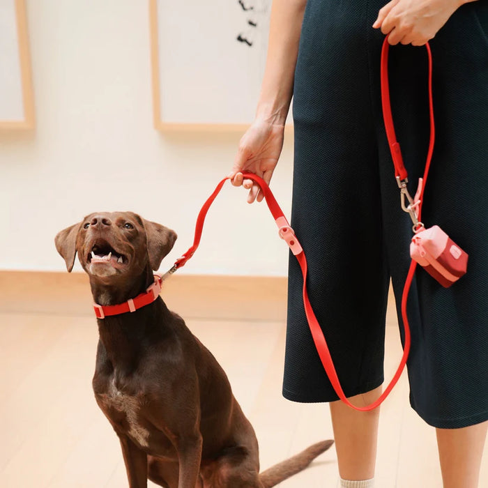 Goodboy Approved By Fritz - Red/Pink Collar