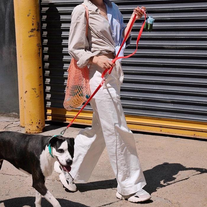 Goodboy Approved By Fritz - Red/Pink Leash