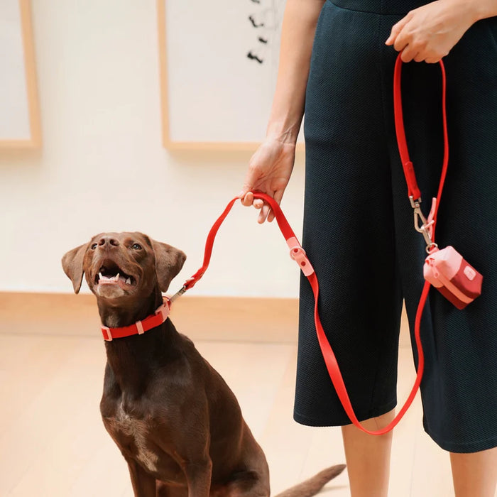 Goodboy Approved By Fritz - Red/Pink Leash