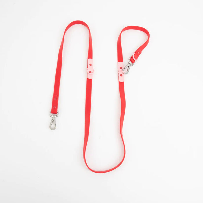 goodboy Approved by Fritz - Red/Pink Leash